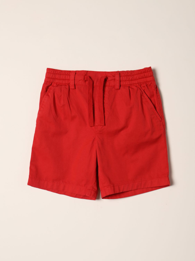 Dolce & Gabbana Babies' Cotton Bermuda Shorts In Raspberry