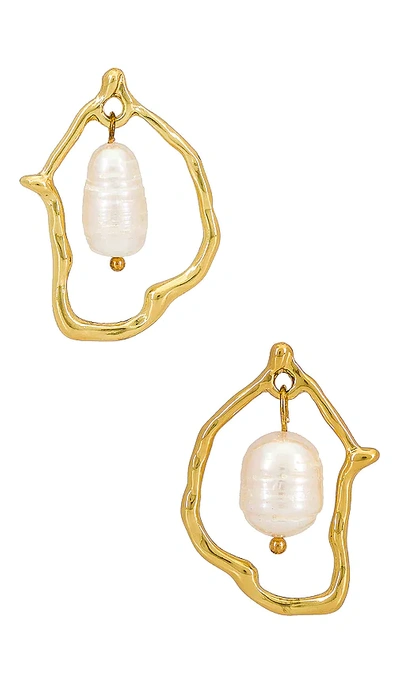 Amber Sceats Pearl Dangle Earring In Gold