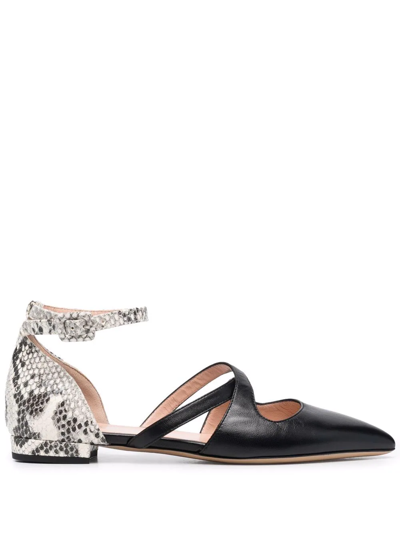 Bally Python Print-detail Pointed Pumps In Black