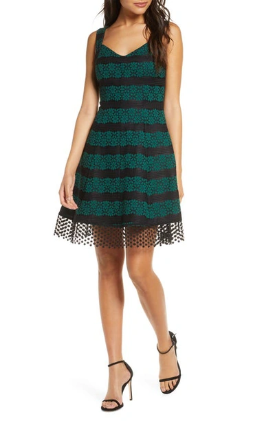 Donna Ricco Bonded Lace Fit & Flare Dress In Black/ Green | ModeSens