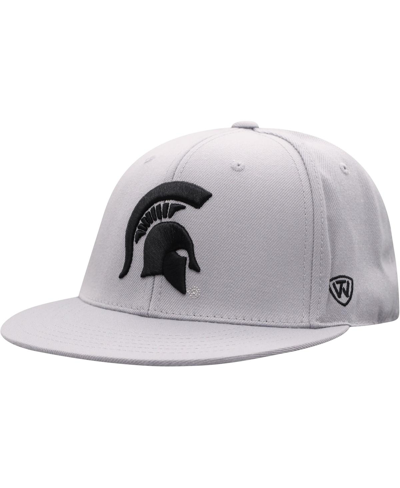TOP OF THE WORLD MEN'S TOP OF THE WORLD GRAY MICHIGAN STATE SPARTANS FITTED HAT