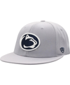 TOP OF THE WORLD MEN'S TOP OF THE WORLD GRAY PENN STATE NITTANY LIONS FITTED HAT