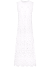 Dolce & Gabbana Cotton-blend Corded Lace Maxi Dress In White