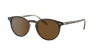 Oliver Peoples Ov5004su Riley Sun Acetate Round Sunglasses In True Brown Polar