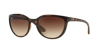 Ray Ban Ray In Brown Gradient