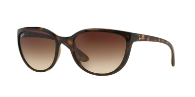 Ray Ban Ray In Brown Gradient