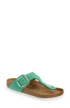 BIRKENSTOCK GIZEH BIG BUCKLE SANDAL