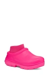 Ugg Tasman X Waterproof Clog In Taffy Pink