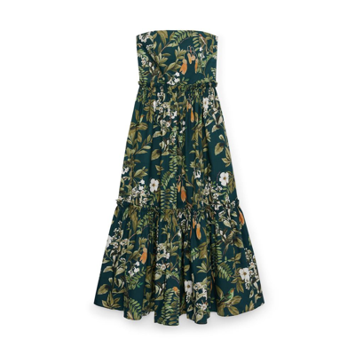 Cara Cara Torres Green Printed Cotton Midi Dress In Botanical Birds Emerald