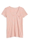 Caslon ® Rounded V-neck T-shirt In Pink- Ivory Stripe