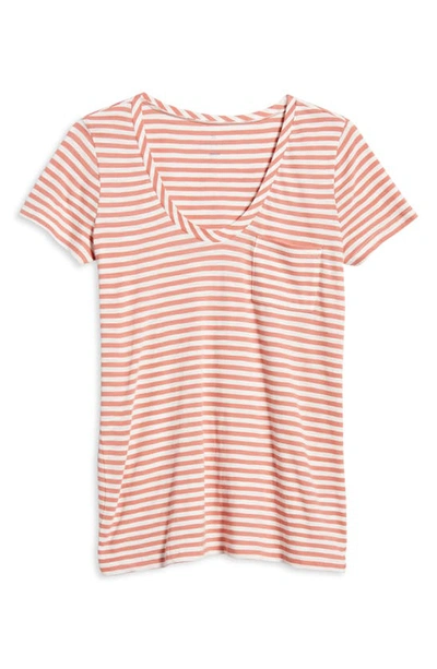 Caslon ® Rounded V-neck T-shirt In Pink- Ivory Stripe