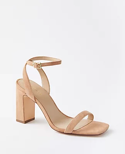 Ann Taylor Suede High Block Heel Sandals In Dominican Sand