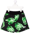 Msgm Teen Leaf-print Cotton Shorts In Black