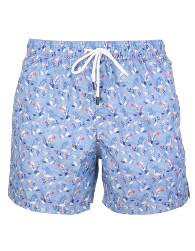 Fedeli Toucans And Flamingos Cornflower Swimming Trunks In Cielo/bianco