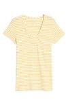 Caslon ® Rounded V-neck T-shirt In Yellow- Ivory Stripe