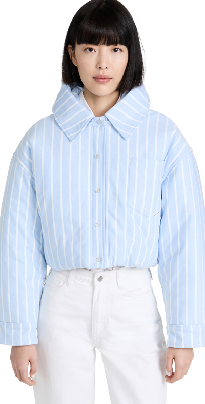 Alexander Wang T Cropped Padded Pinstriped Cotton Oxford
