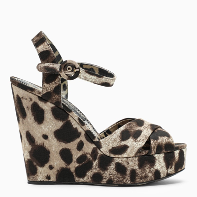 Dolce & Gabbana Leopard-print High Wedge In Multicolor