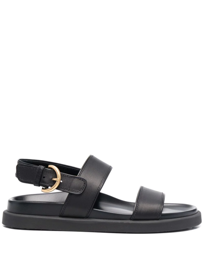 Gianvito Rossi Bilbao Buckled Sandals In Black
