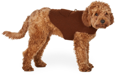 Fantastical Creatures Club Brown Wrap Up Jacket Harness In Rusty