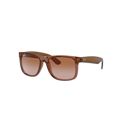 Ray Ban Ray In Transparent Light Brown