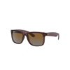 Ray Ban Rb4165 Sunglasses In Transparent Dark Brown