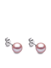 YOKO LONDON 18KT WHITE GOLD CLASSIC 8MM FRESHWATER PEARL STUD EARRINGS