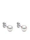 Yoko London 18kt White Gold Classic 5mm Akoya Pearl Stud Earrings In Silber