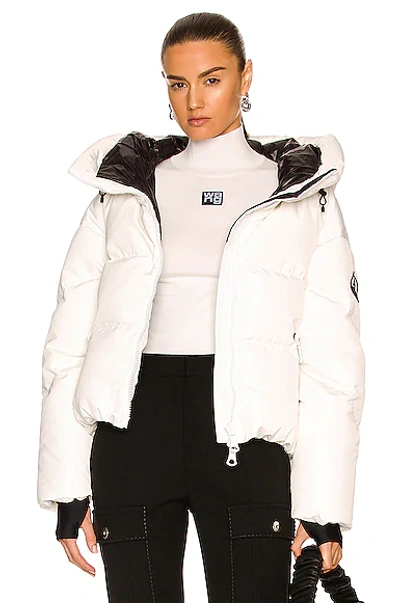 Cordova Women's The Meribel Hooded Down Snow Jacket In Cloud