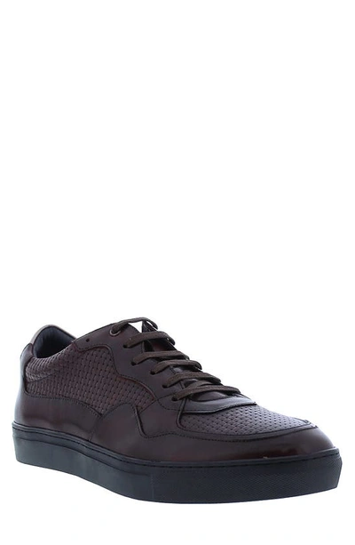 Zanzara Brando Leather Sneaker In Wine