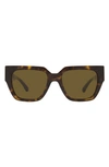 Versace Tortoiseshell Medusa Chain Sunglasses In Brown