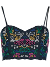 Chloé Embroidered Scallop-hem Crop Top In Blue