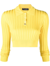 Dolce & Gabbana Dg Ribbed-knit Silk Cropped Sweater In Gelb