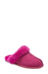 Ugg Scuffette Ii Slipper In Dragon Fruit Suede