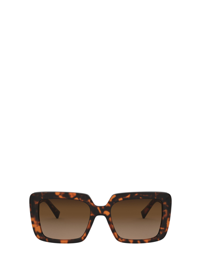 Versace Ve4384b Havana Sunglasses In Multi