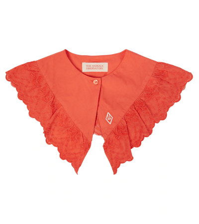 The Animals Observatory Kids' Plain Hawk Cotton Collar In Red