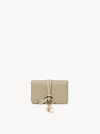 Chloé Alphabet Card Holder In Vert