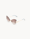 Chloé 65mm Butterfly Sunglasses In Brun