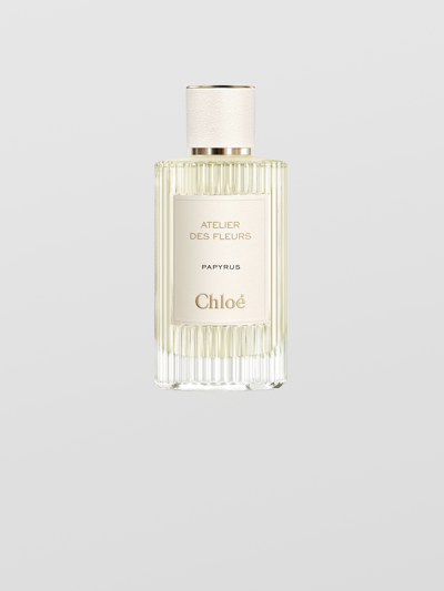 Chloé Atelier Des Fleurs Papyrus In Transparent