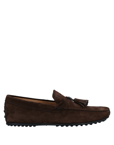 Tod's Loafers In Brown