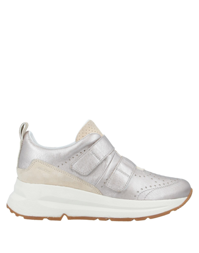 Geox Sneakers In Grey
