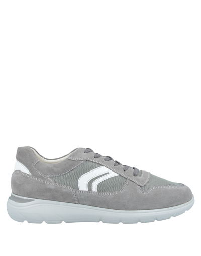 Geox Sneakers In Grey