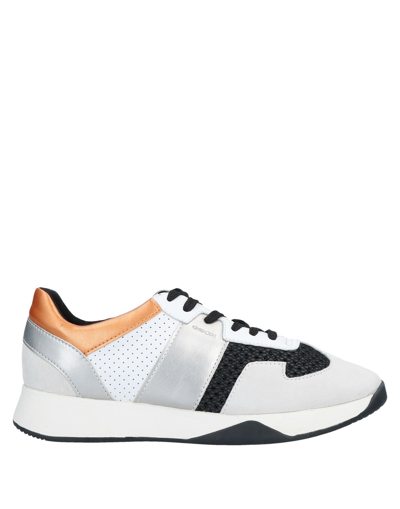 Geox Sneakers In Grey