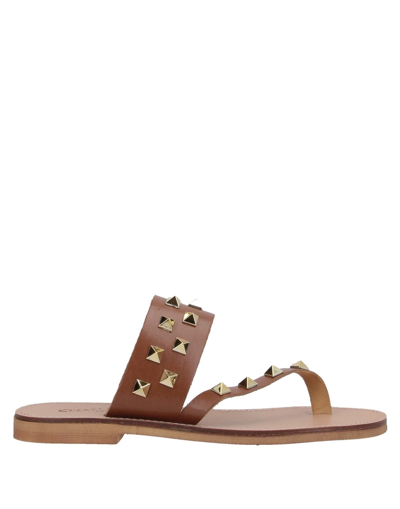 Chatulle Toe Strap Sandals In Brown