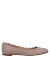 Chloé Ballet Flats In Blush