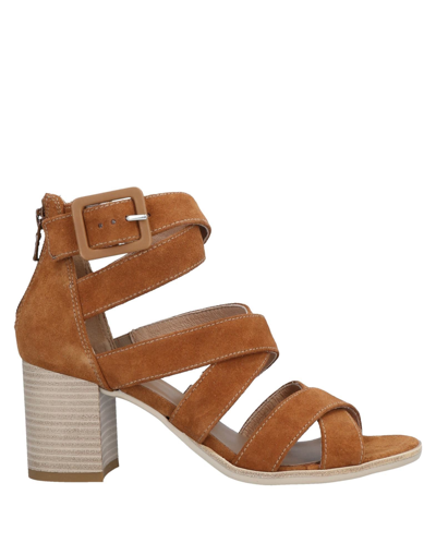 Nero Giardini Sandals In Brown