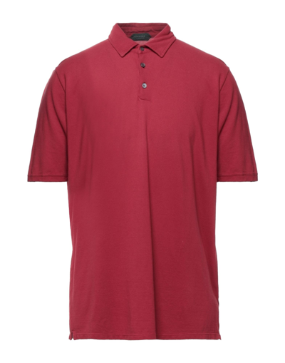 Zanone Polo Shirts In Red