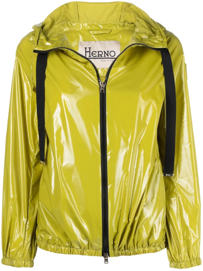 HERNO ZIP-FASTENING HOODED JACKET