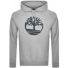 Timberland Yc Core Tree Logo Pullover Hoodie In Gray-grey