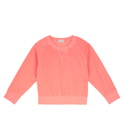 Morley Kids' Peanut Barista Cotton Sweatshirt In Rose