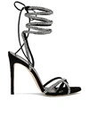 Paris Texas Holly Nicole 105 Lace Up Sandal In Black Diamond
